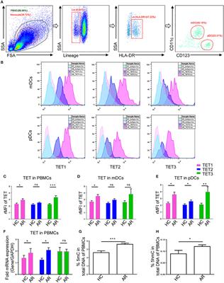 Ten-Eleven Translocation (TET) Enzymes Modulate the Activation of Dendritic Cells in Allergic Rhinitis